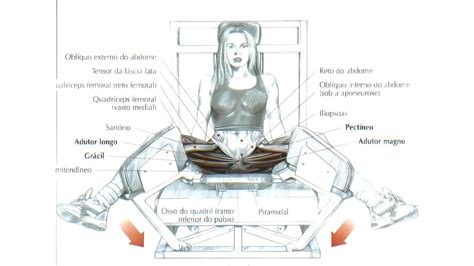 Fazer adutora é uma besteira no treino de musculação