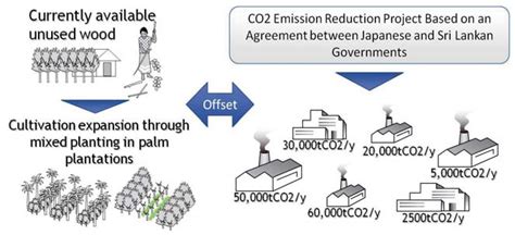 Replacing Grid Electricity With Sustainable Biomass Based Power