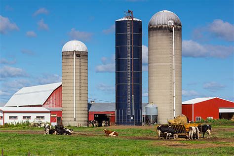 Wisconsin Dairy Farm Stock Photos, Pictures & Royalty-Free Images - iStock