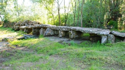 Élévation du niveau de risque en matière dinfluenza aviaire hautement