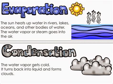 What Are Some Water Cycle Vocabulary Words