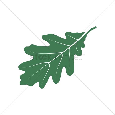 Oak Leaf Vector at GetDrawings | Free download