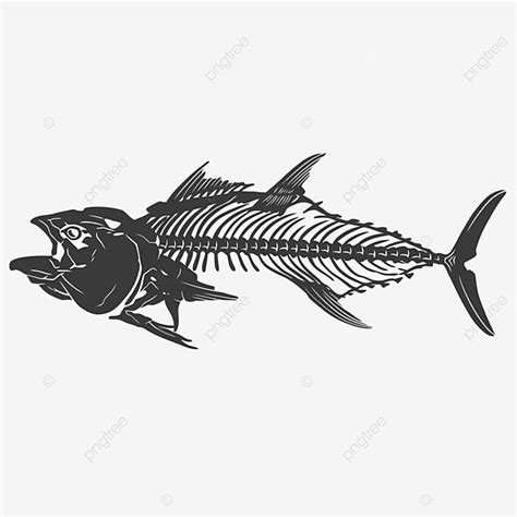 Tuna Fish Skull Fish Skull Tuna Fish Fish Skull Tattoo Png And