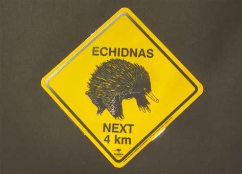 Echidna Road Sign Small – Tasmanian Postcards & Souvenirs