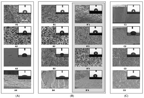 Membranes Free Full Text A Critical Review On The Use Of Ionic