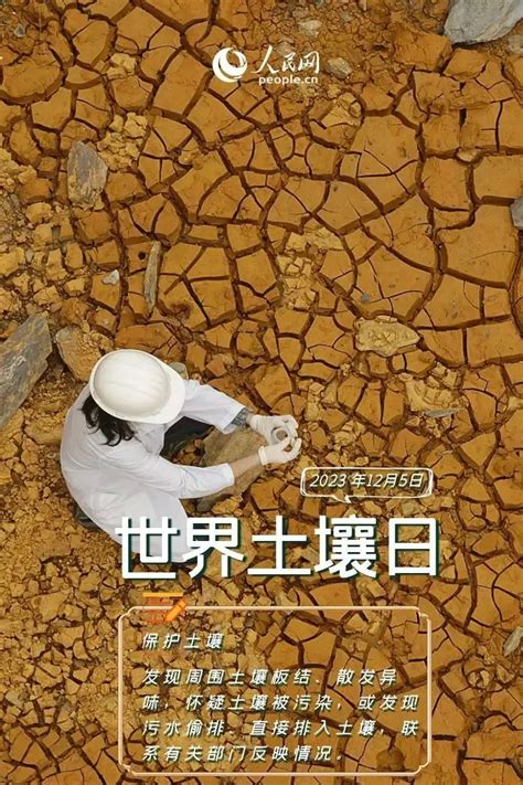 世界土壤日｜珍爱呵护土壤 共同守护净土澎湃号·政务澎湃新闻 The Paper