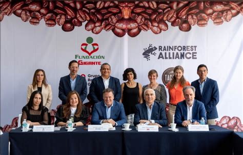 Fundación Gigante Y Rainforest Alliance Firman El Convenio De La “alianza Por Los Paisajes