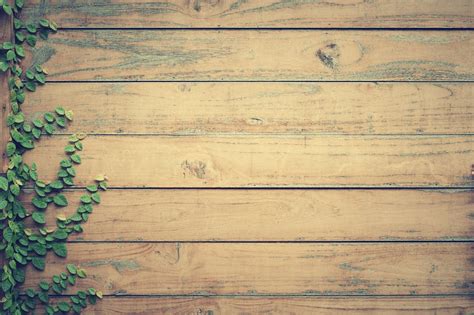 100,000+ Best Wood Photos · 100% Free Download · Pexels Stock Photos