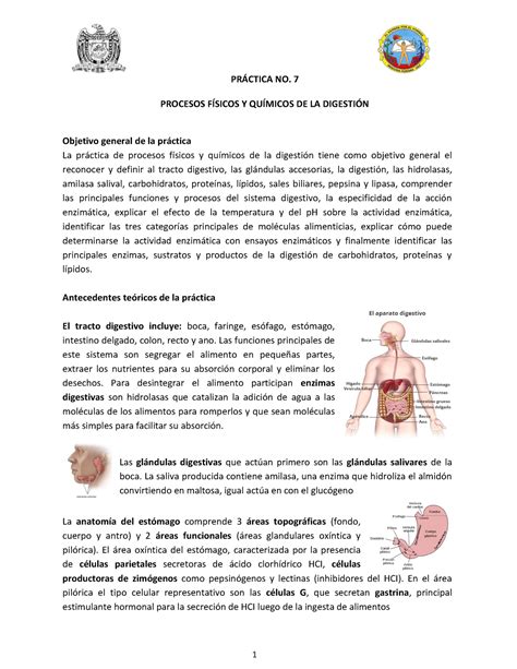 Prepract 7 pre reporte práctica 7 PRCTICA NO 7 PROCESOS FÕSICOS Y