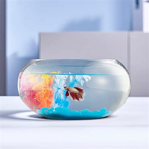 3 Gallon Large Clear Glass Fish Bowl Vase Plant Container