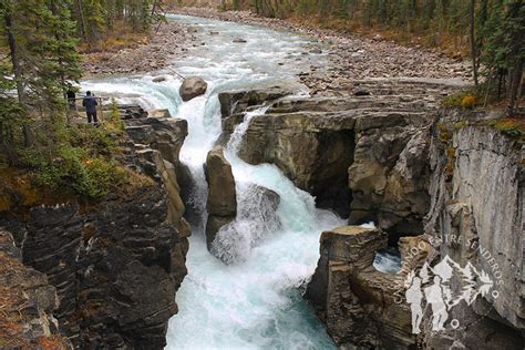 Sunwapta Falls (Jasper) | Caminando entre Senderos