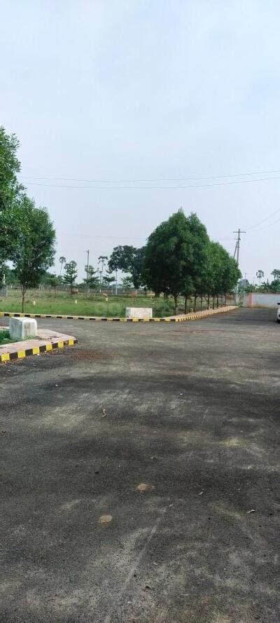 Residential Land Plot For Sale In Shankarpally Hyderabad Sq Yard