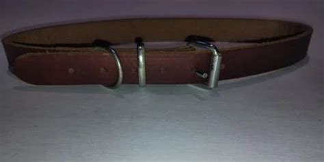Extra Soft Leather Dog Collars At Rs 220piece Kanpur Id 2852795969362