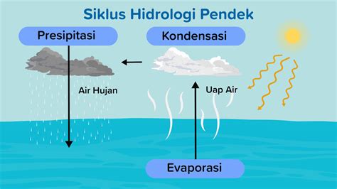 Detail Gambar Dan Jelaskan Siklus Hidrologi Koleksi Nomer 45