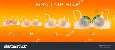 Bra Cup Size Comparison To Fruit