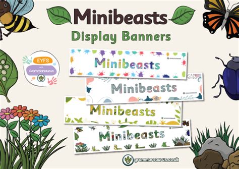 EYFS Minibeasts Display Banner Grammarsaurus