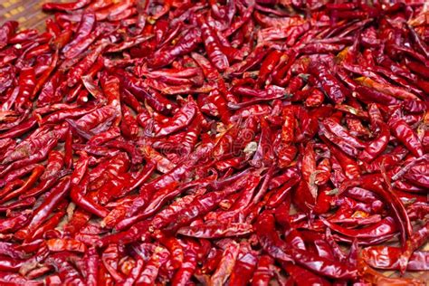 Red Hot Chili Peppers Drying On Sun Stock Photo Image Of Capsaicin Detail