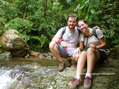 Bukit Lawang 3 Days Jungle Trekking