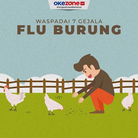 Satu Orang Meninggal Di Kamboja Waspadai Gejala Gejala Flu Burung