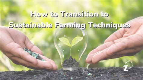 How to Transition to Sustainable Farming Techniques - RegenZ