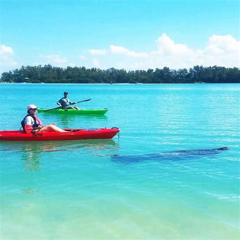 Book Now Guided Tours Happy Paddler Kayak Tours