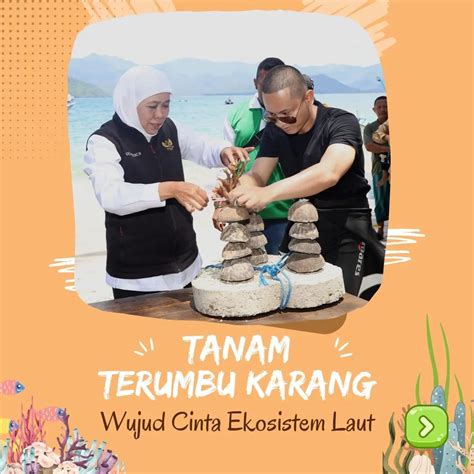 Tanam Terumbu Karang Wujud Cinta Ekosistem Laut Dinas Kominfo Trenggalek