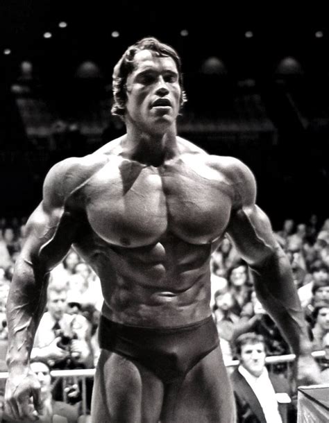 35 Awesome High Res Photos Of Arnold Schwarzenegger