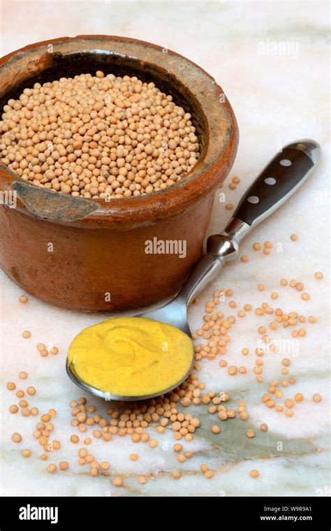 Mustard Seed And Mustard Stock Photo Alamy