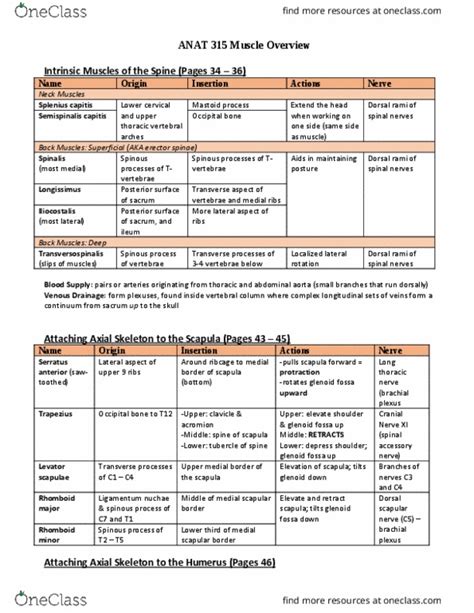 ANAT 315 Study Guide Fall 2015 Final Semitendinosus Muscle Plant