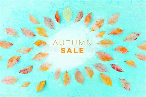 Autum Sale Discount Banner Or Flyer Design Template With Vibrant