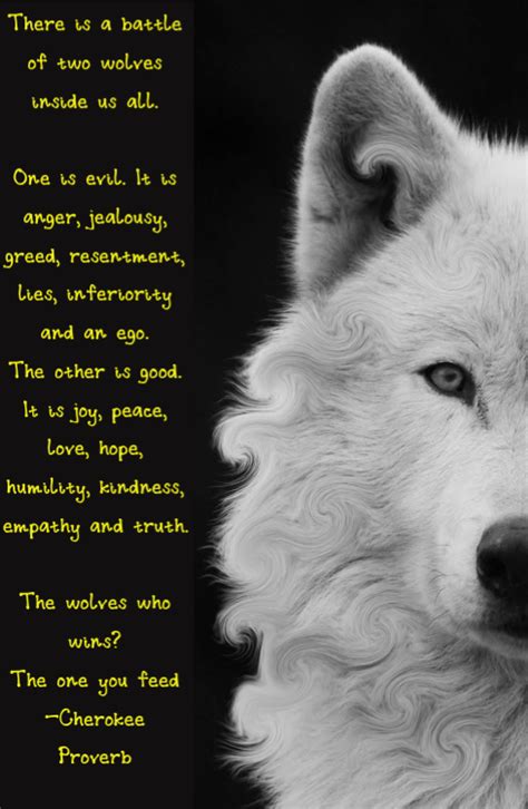 Feed The Wolf Love Quotes Quotesgram