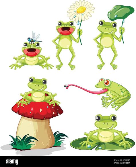 Smiling Green Frog Cartoon Characters Illustration Stock Vector Image