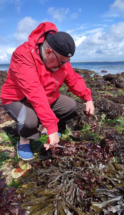 Sortie nature Découverte des algues culinaires