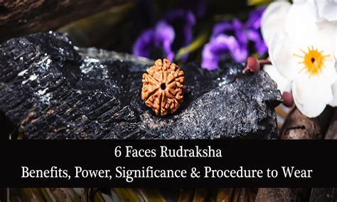 Six Faced Rudraksha Benefits Significance Procedure To Wear