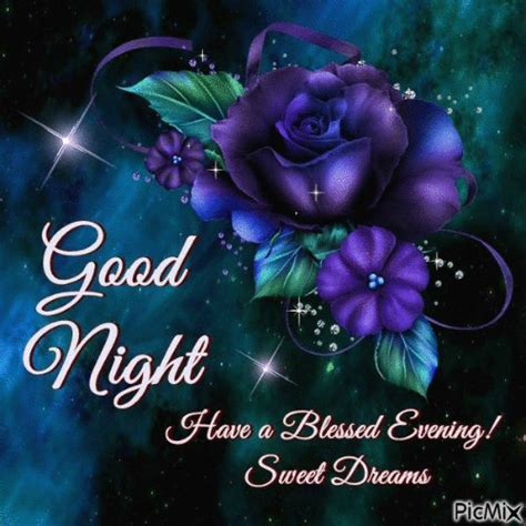 A Blessed Evening Flower Night Evening Blessings Good Night Good Night