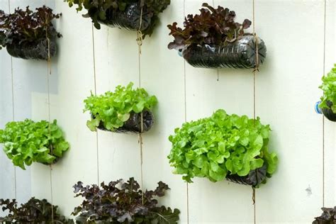 How To Make Vertical Garden With Plastic Bottles Storables