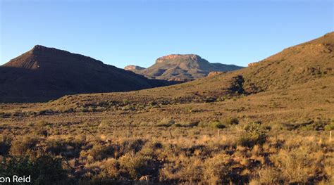 Karoo National Park – Just for a Night | Mostly Birding