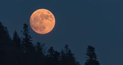 Photo Essay: A Look at the Full Carolina Moon | Our State