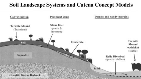 Soil Landscape Systems And Catena Concept Models And Concepts Of Soil