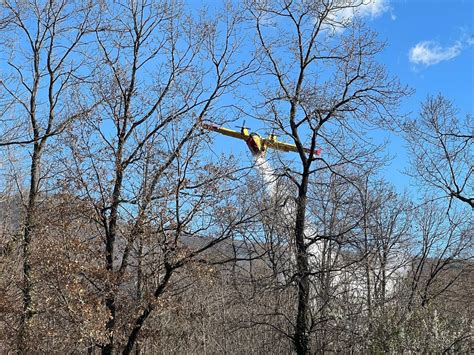 Incendio A Pedara Brucia Area Boschiva Canadair In Azione QdS