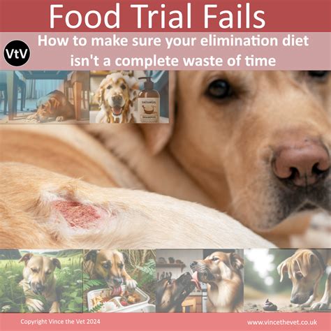 Vince The Vet Food Fails Read Online Here