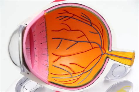 Understanding Prism Glasses: Side Effects – Eye Surgery Guide