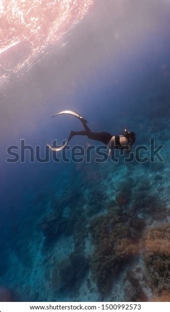 Sexy Girl Wearing Bikini Freediving Down Stock Photo