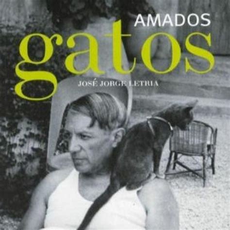 Stream Amados Gatos De Jos Jorge Letria By Livro Em Agenda Listen