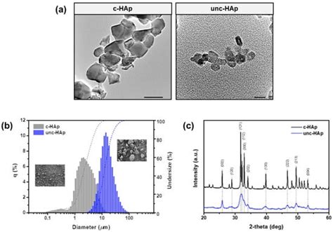 Ijms Free Full Text Comparative In Vitro Dissolution Assessment Of