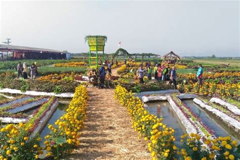 Taman Ponggok Di Jombang Lepas Penat Sambil Nikmati Nuansa Alam Dengan