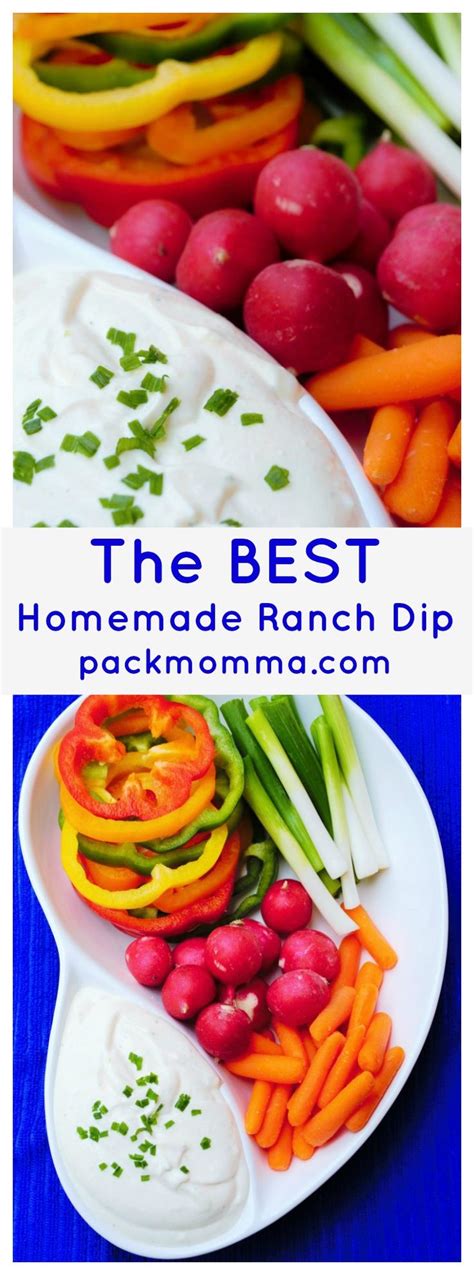 Homemade Ranch Dip Homemade Ranch Dip Is Quick And Easy And This Ranch Dip Is Better Than Any