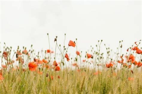 Fête de la nature 2022 Comment prendre soin de notre terre mère