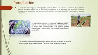 Los benéficos de la biotecnología en la alimentación PPT