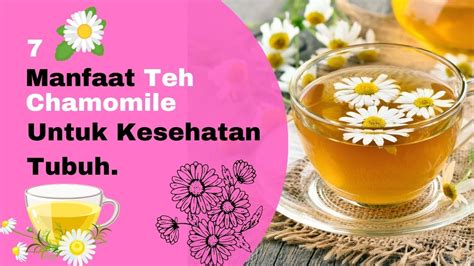 Manfaat Teh Chamomile Untuk Kesehatan Tubuh Youtube